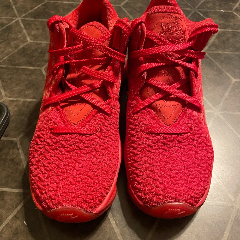 Lebron size 13c